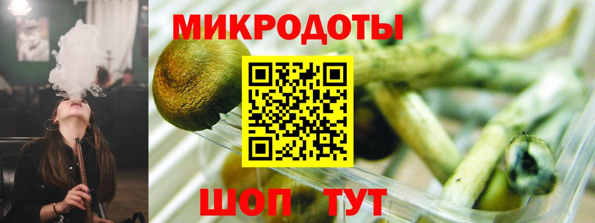 Псилоцибиновые грибы мицелий  Псилоцибиновые грибы мицелий  Вход с VPN  Елизово 